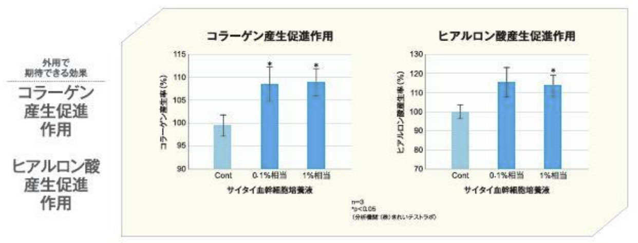 サイタイ血幹細胞培養液の傷を修復する作用とコラーゲン増殖作用